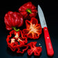 PEPPER 'Botan Kosho'