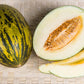 MELON 'Piel de Sapo'