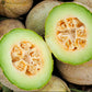 MELON 'Eden's Gem Muskmelon'
