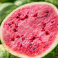 MELON 'Dixie Queen Watermelon'