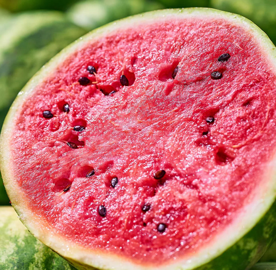 MELON 'Dixie Queen Watermelon'