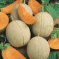 MELON 'Hearts of Gold Cantaloupe'