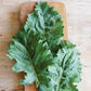KALE 'Sweet Kita'
