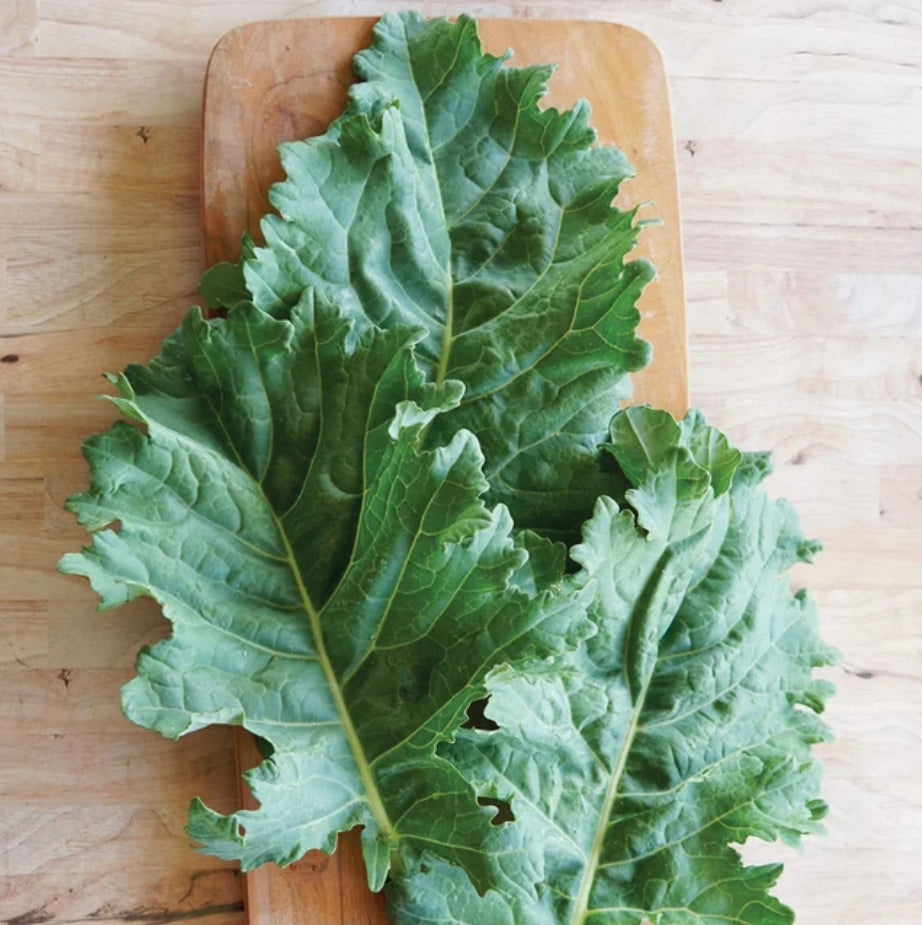 KALE 'Sweet Kita'
