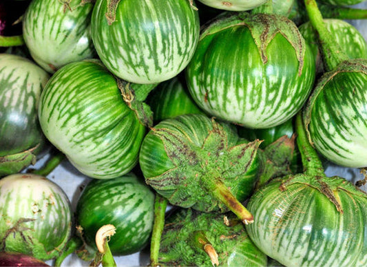 EGGPLANT 'Petch Siam'