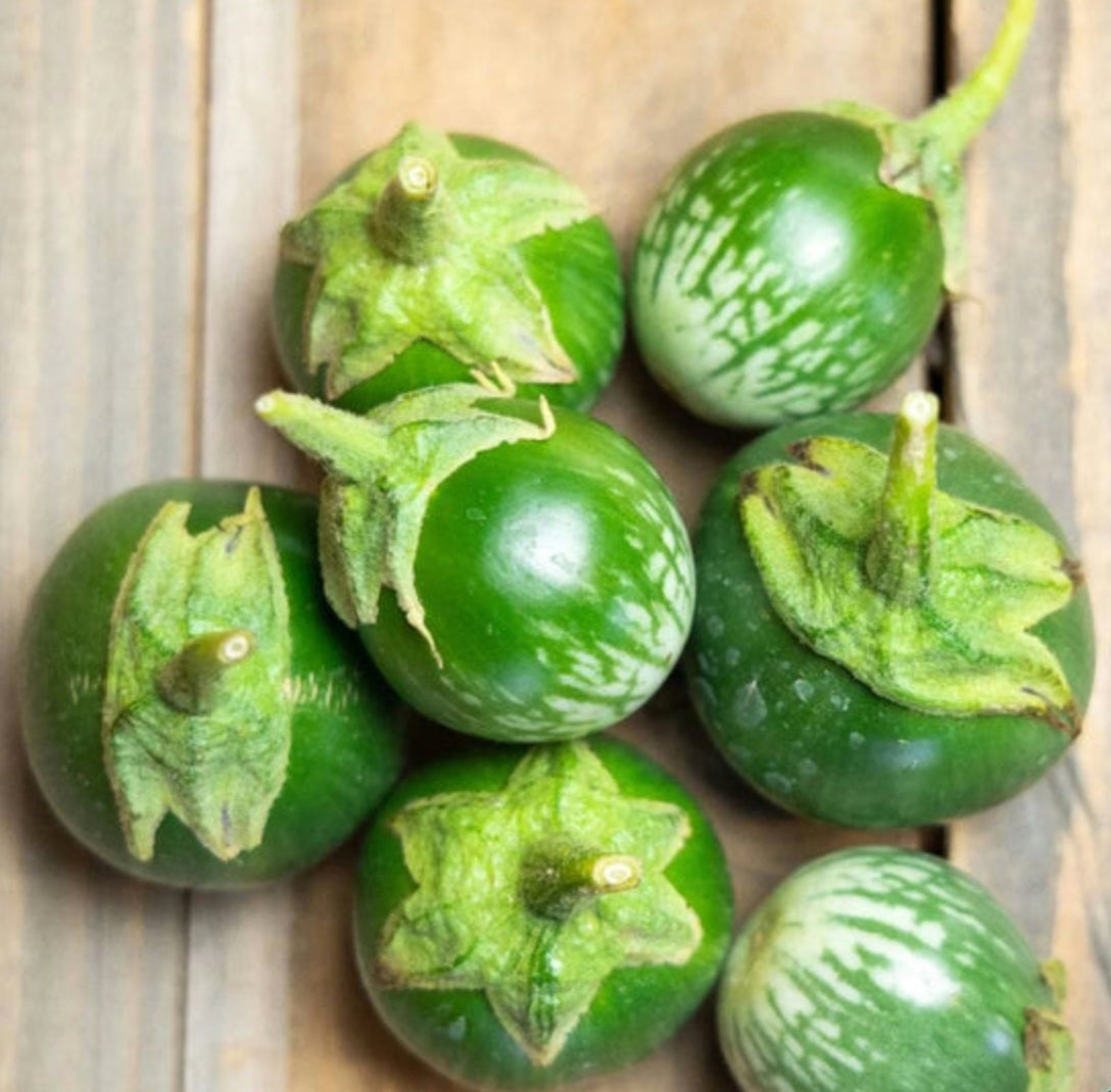 EGGPLANT 'Petch Siam'