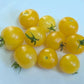 TOMATO 'Gourmandise Yellow'