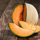 MELON 'Sweet Passion Cantaloupe'