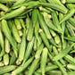 OKRA 'Jade'