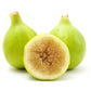 FIG 'Lattarula' --Ficus carica--