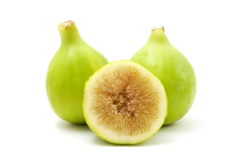 FIG 'Lattarula' --Ficus carica--