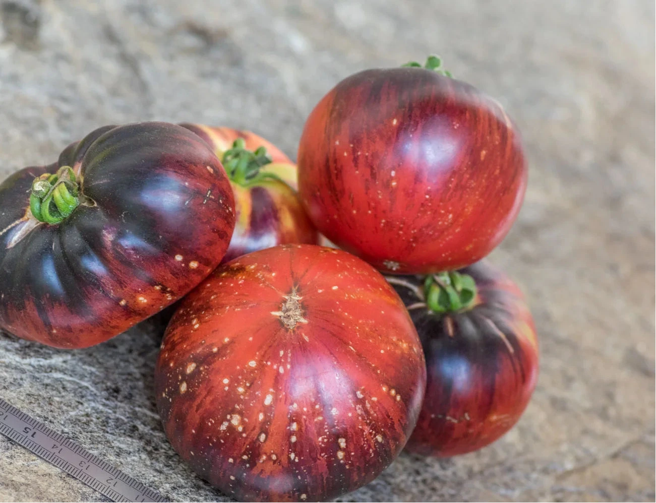 TOMATO 'Lovely Lush'