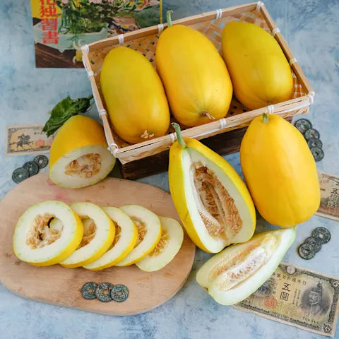 MELON 'Golden Crispy'