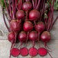 BEETS 'Merlin'