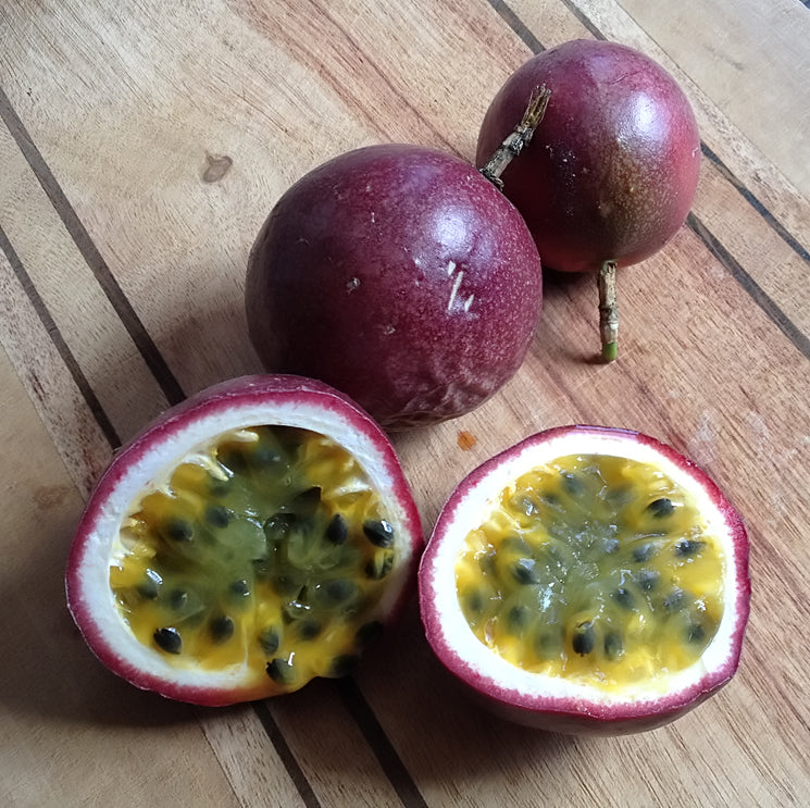 PASSIONFLOWER 'Purple Fruit Edible' --Passiflora edulis--
