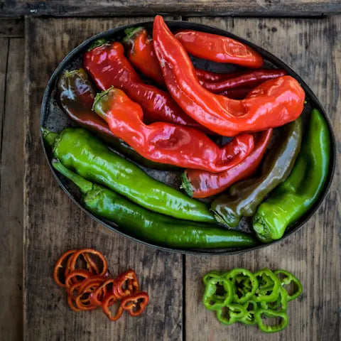PEPPER 'Txorixero'