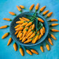 PEPPER 'Yellow Chile Pequin'