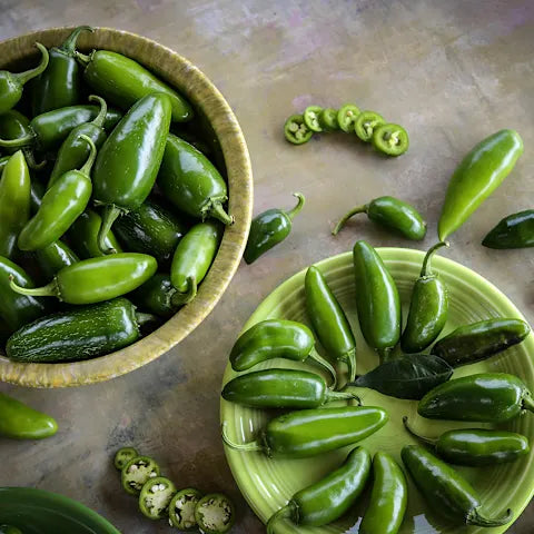 PEPPER 'Jalapeño TAM'