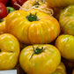 TOMATO 'Pork Chop'