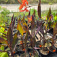 Canna x generalis 'Intrigue'