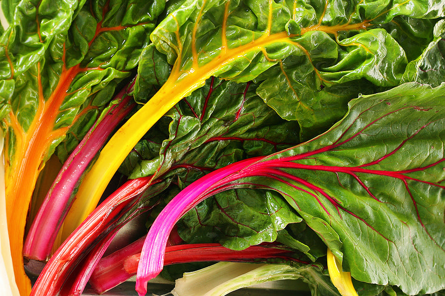 CHARD 'Four Star'