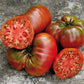 TOMATO 'Black Sea Man'