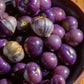 TOMATILLO 'Really Purple'