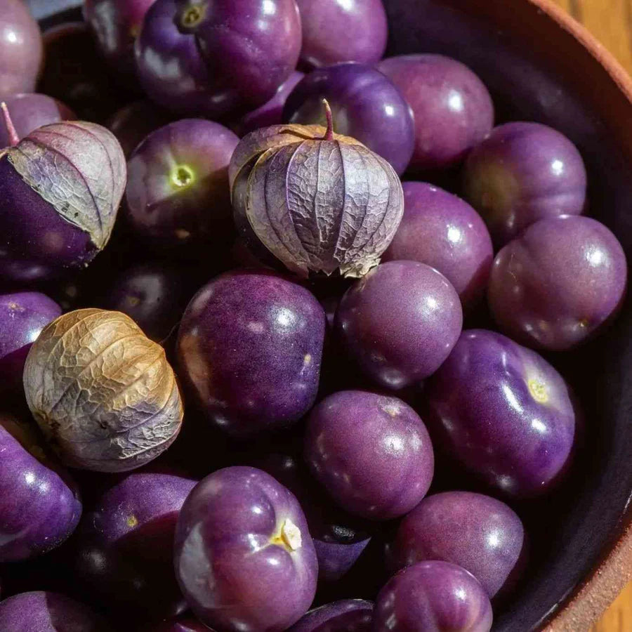 TOMATILLO 'Really Purple'