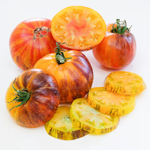 TOMATO 'Alice's Dream'