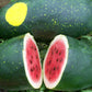 MELON 'Moon & Stars Watermelon'