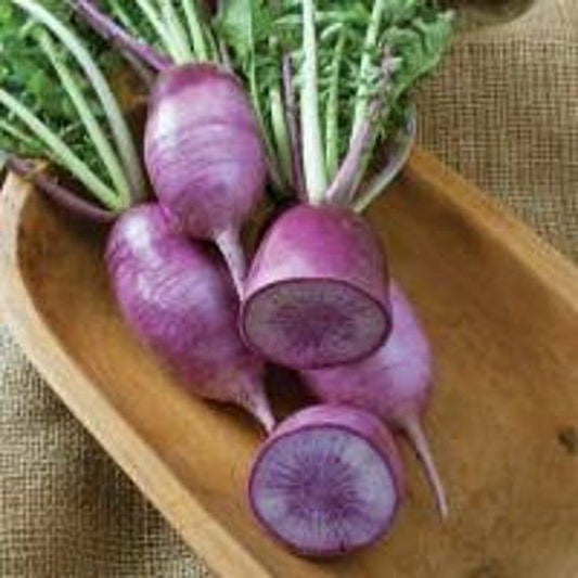 RADISHES 'Sango'