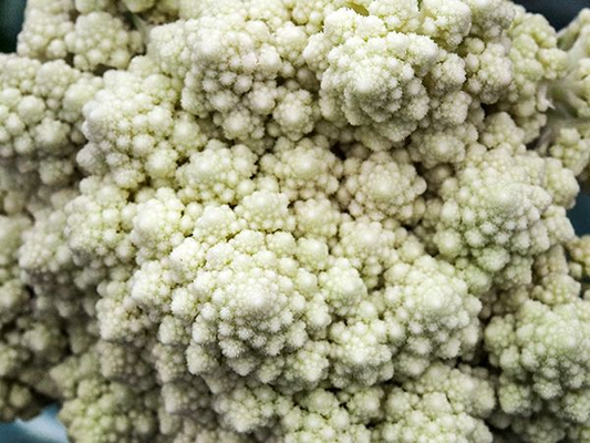 CAULIFLOWER 'De Jesi'