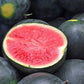 MELON 'Black Diamond Watermelon'