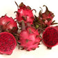 DRAGON FRUIT 'Sugar Dragon' --Hylocereus guatemalensis hybrid--