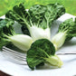 ASIAN GREENS 'Extra Dwarf Pak Choy'