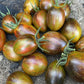 TOMATO 'Atomic Sunset'