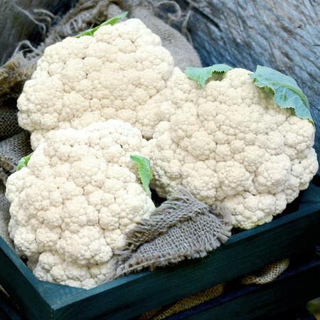 CAULIFLOWER 'Candid Charm'