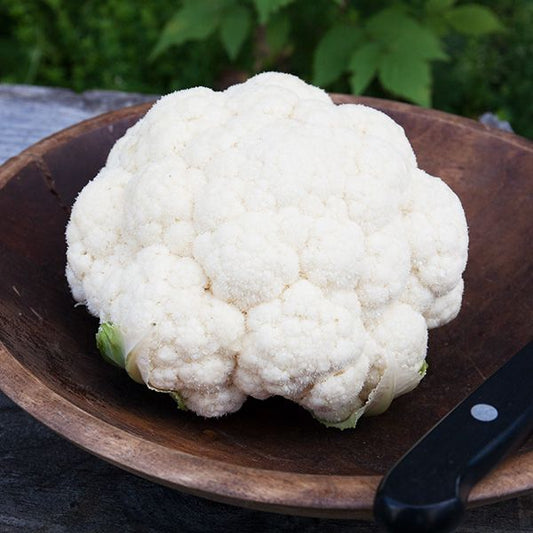 CAULIFLOWER 'Adona'