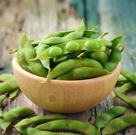 BEAN 'Chiba Green Soy'