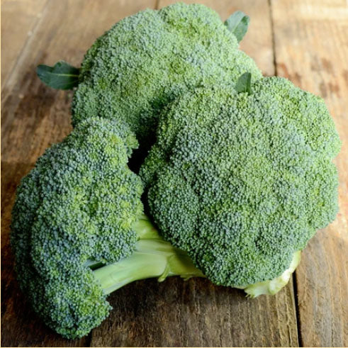 BROCCOLI 'Emerald Crown'