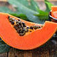 PAPAYA 'Unknown Cultivar' --Carica papaya--