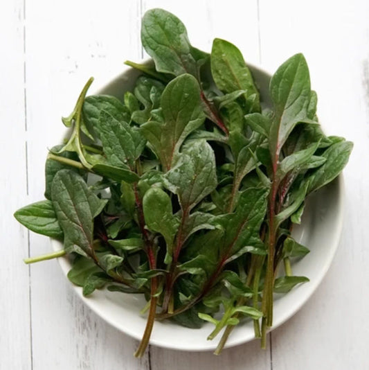 SPINACH 'Red Snapper'