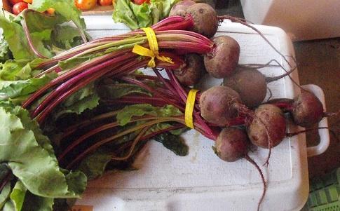 BEETS 'Robuschka'