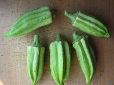 five small fat green okra pods arranged on a wooden table