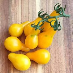 TOMATO 'Yellow Pear'