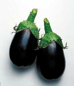 EGGPLANT 'Black King'