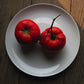 TOMATO 'KC 146'