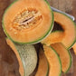 MELON 'Hearts of Gold Cantaloupe'