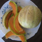 MELON 'Golden Gopher Muskmelon'