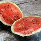 MELON 'Sugar Baby Watermelon'